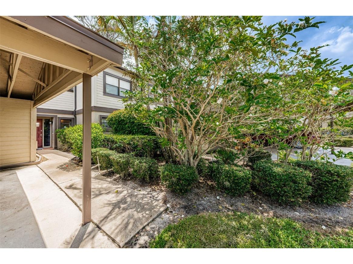 315 Woods Landing Trail Oldsmar FL 34677 TB8433357 image2