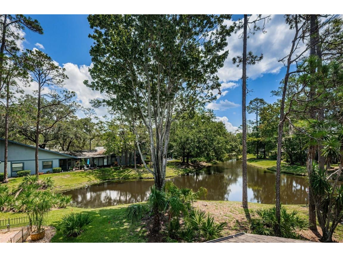 315 Woods Landing Trail Oldsmar FL 34677 TB8433357 image21