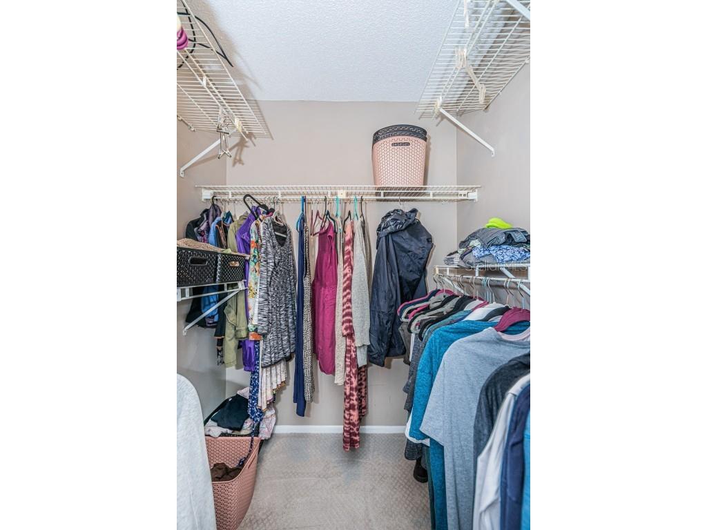 315 Woods Landing Trail Oldsmar FL 34677 TB8433357 image22