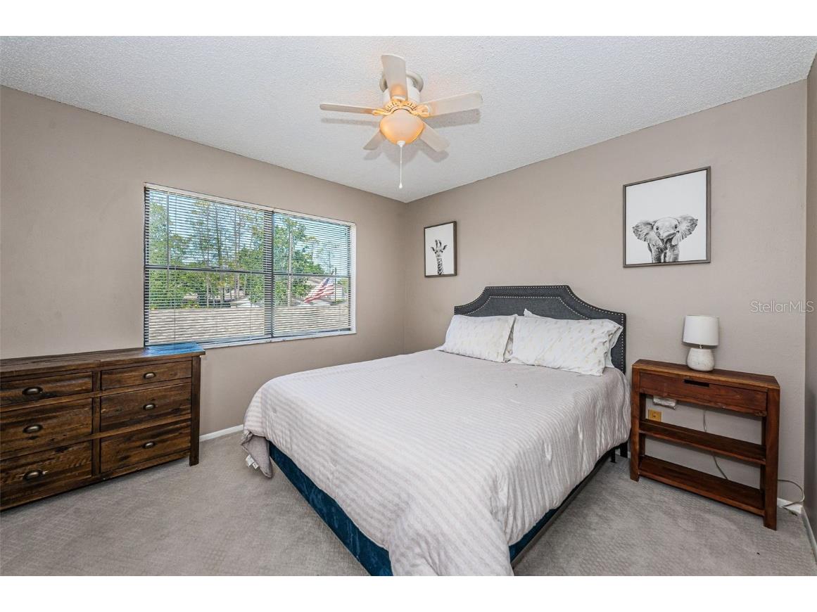 315 Woods Landing Trail Oldsmar FL 34677 TB8433357 image24