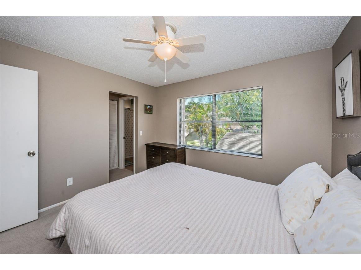 315 Woods Landing Trail Oldsmar FL 34677 TB8433357 image25