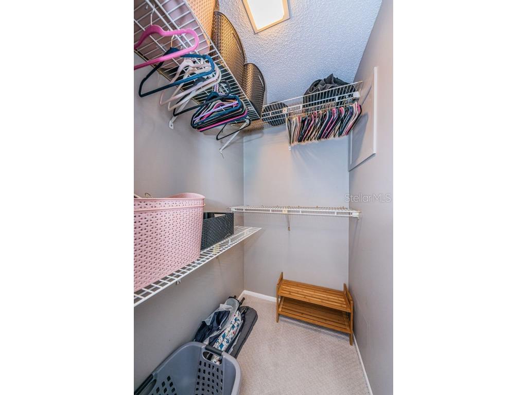 315 Woods Landing Trail Oldsmar FL 34677 TB8433357 image26