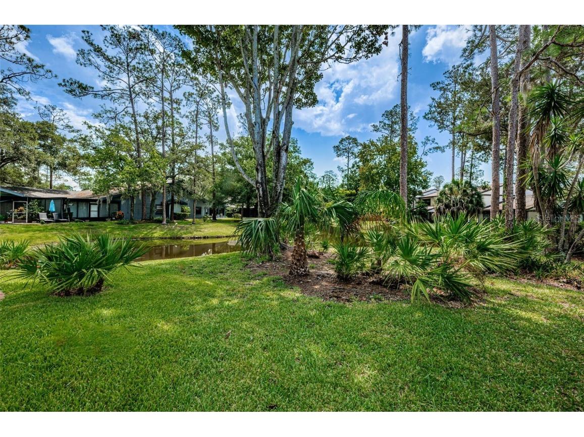 315 Woods Landing Trail Oldsmar FL 34677 TB8433357 image31