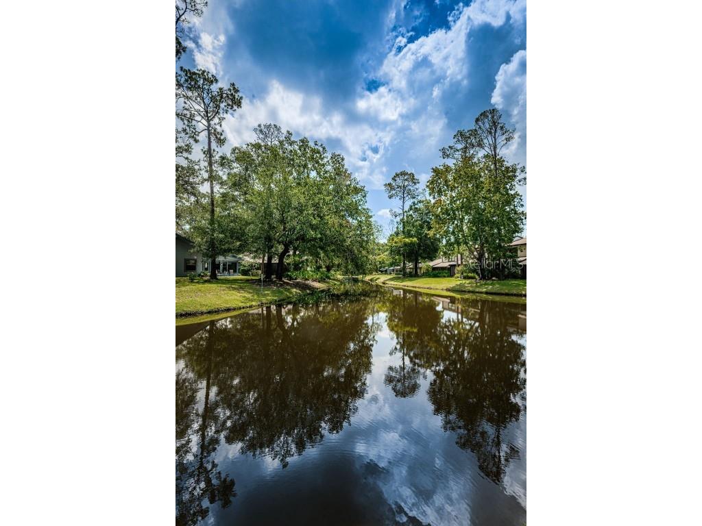 315 Woods Landing Trail Oldsmar FL 34677 TB8433357 image33