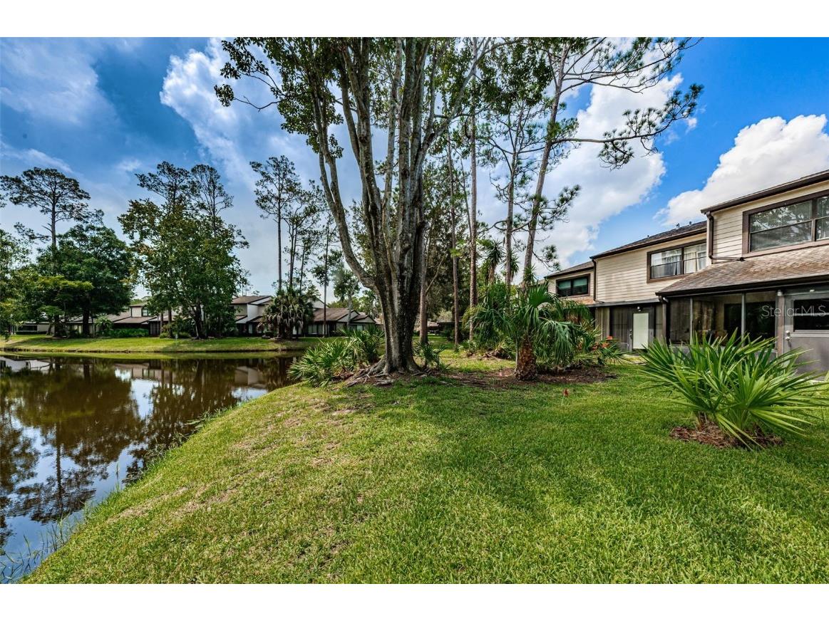 315 Woods Landing Trail Oldsmar FL 34677 TB8433357 image34