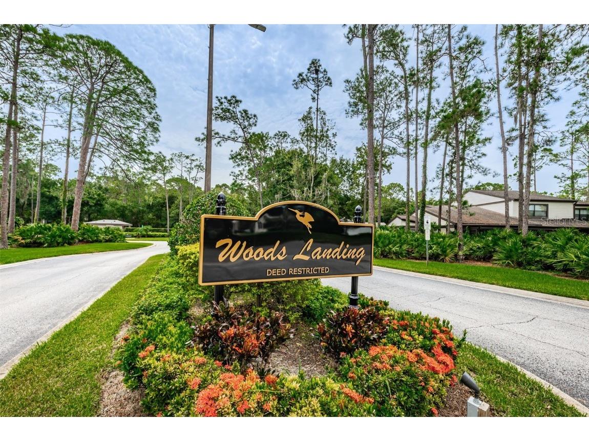 315 Woods Landing Trail Oldsmar FL 34677 TB8433357 image38