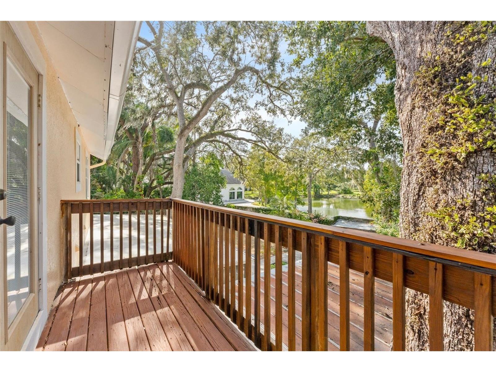 315 Wooten Road Lutz FL 33548 O6416885 image24