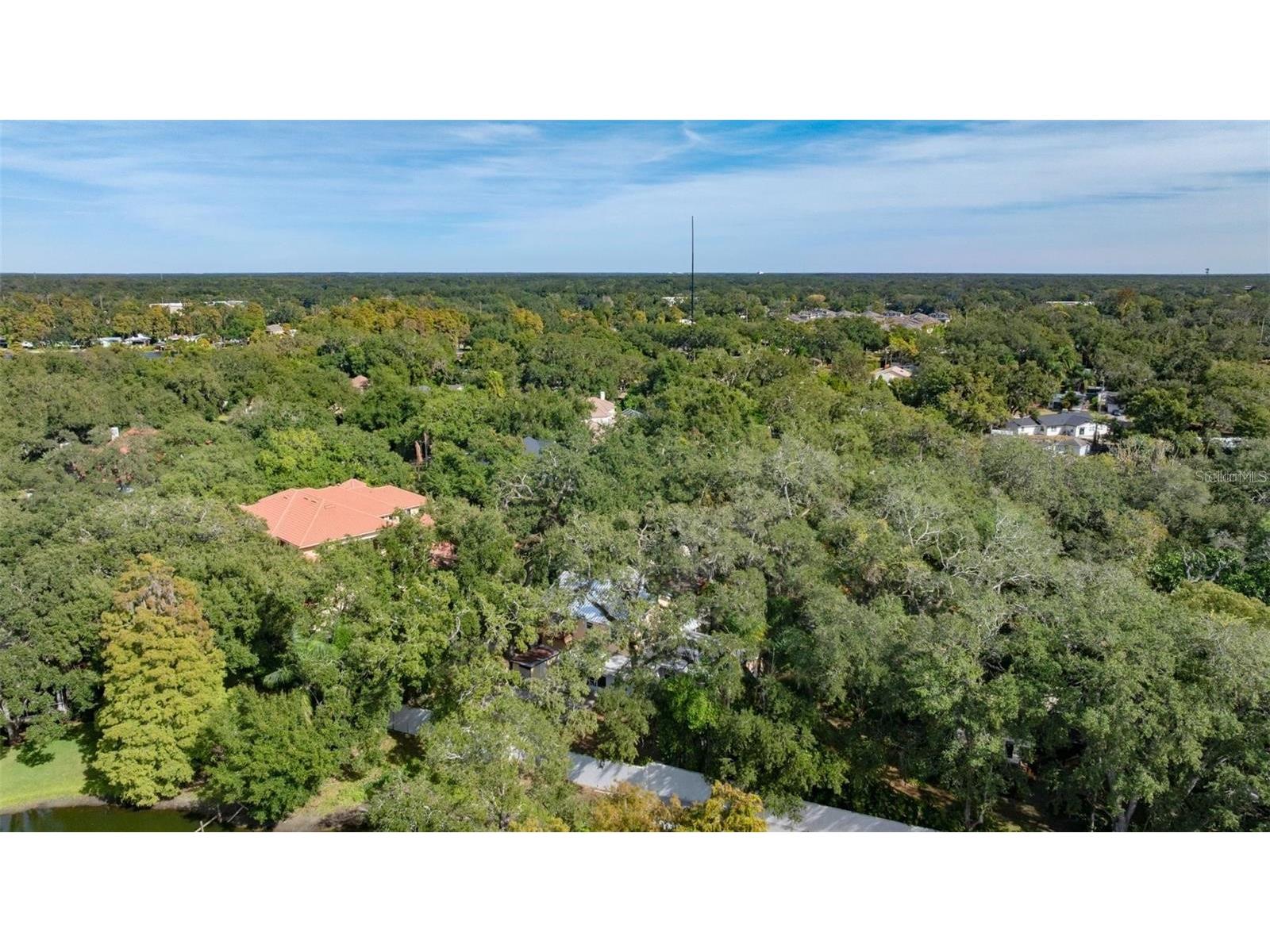 315 Wooten Road Lutz FL 33548 O6416885 image58