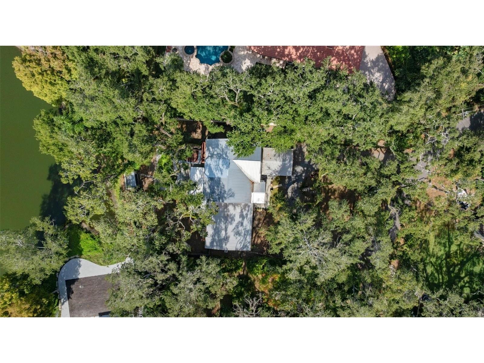 315 Wooten Road Lutz FL 33548 O6416885 image60