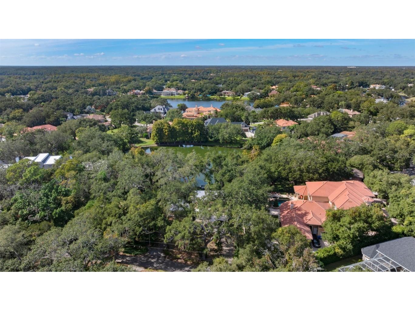 315 Wooten Road Lutz FL 33548 TB8446982 image51