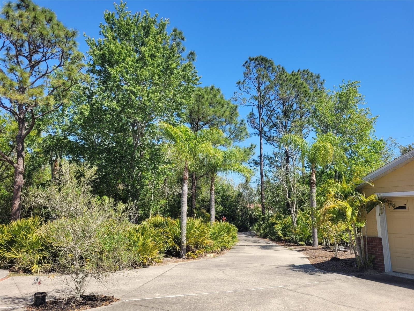 3150 Appaloosa Court Kissimmee FL 34746 TB8502920 image7