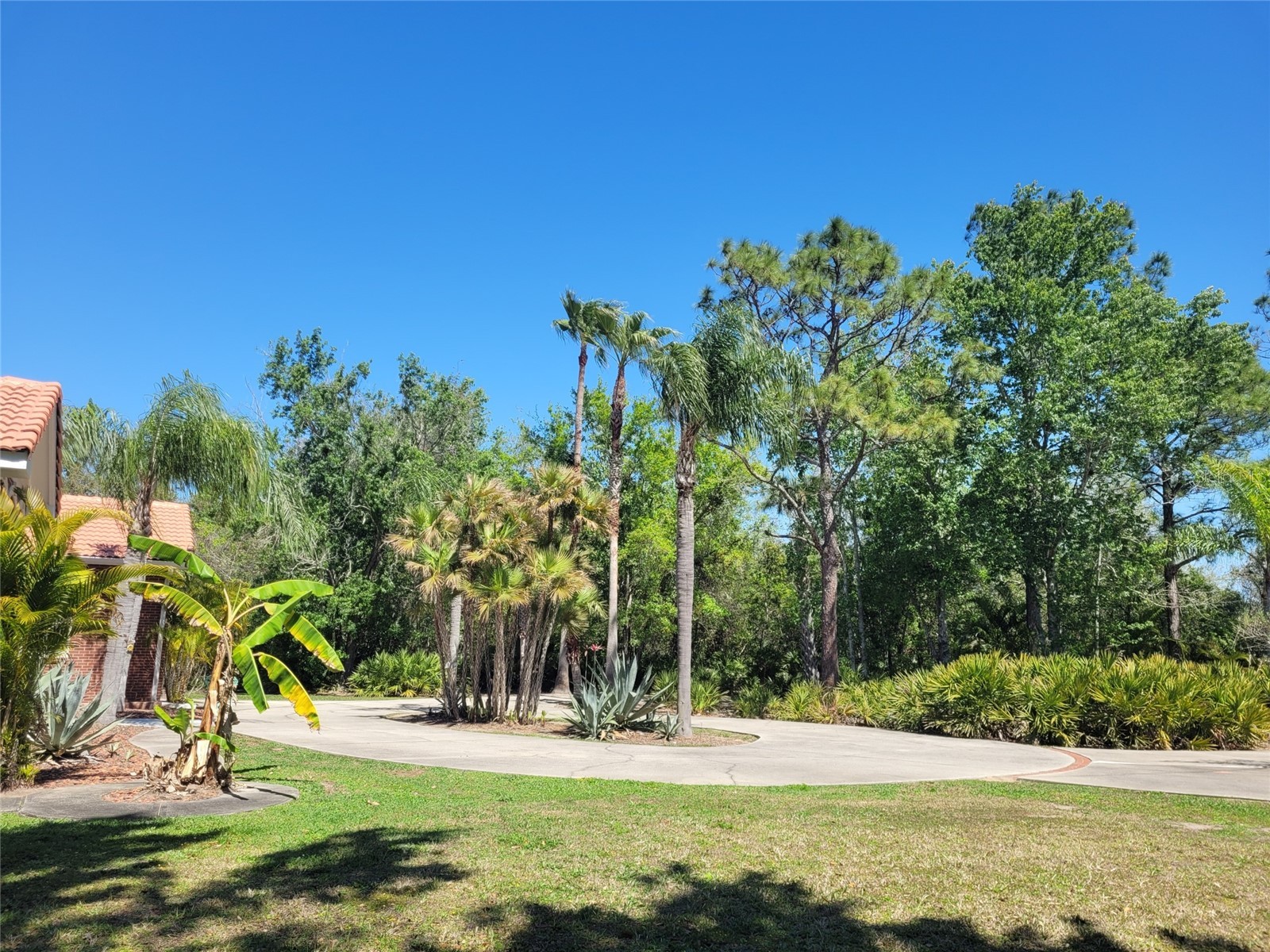 3150 Appaloosa Court Kissimmee FL 34746 TB8502920 image8