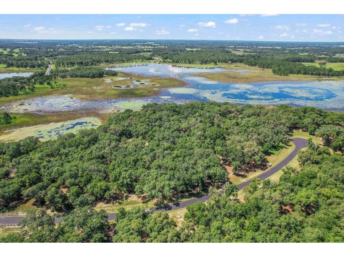 3150 Bright Lake Circle #71 Groveland FL 34736 O6276031 image1