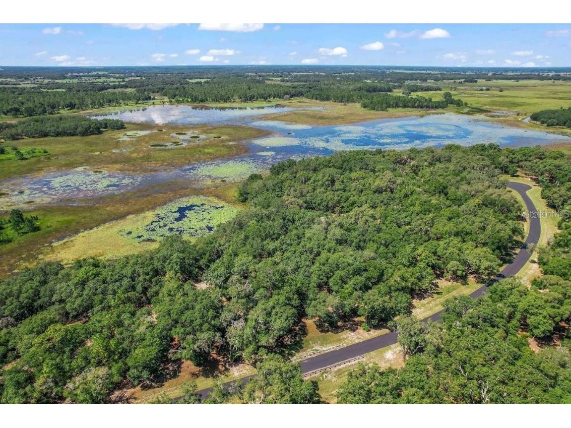 3150 Bright Lake Circle #71 Groveland FL 34736 O6276031 image12