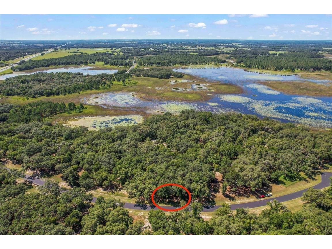 3150 Bright Lake Circle #71 Groveland FL 34736 O6276031 image14