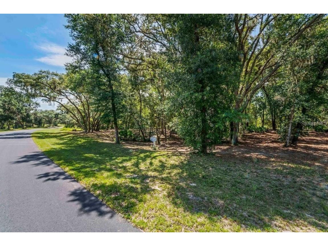 3150 Bright Lake Circle #71 Groveland FL 34736 O6276031 image4