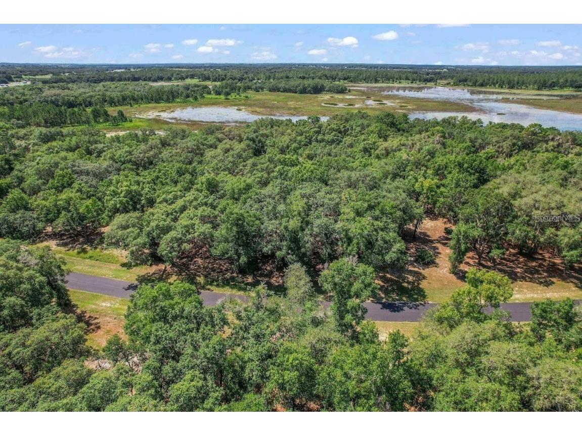 3150 Bright Lake Circle #71 Groveland FL 34736 O6276031 image9