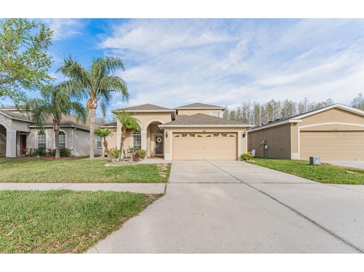 3150 Gianna Way Land O Lakes FL 34638 T3434342 image1