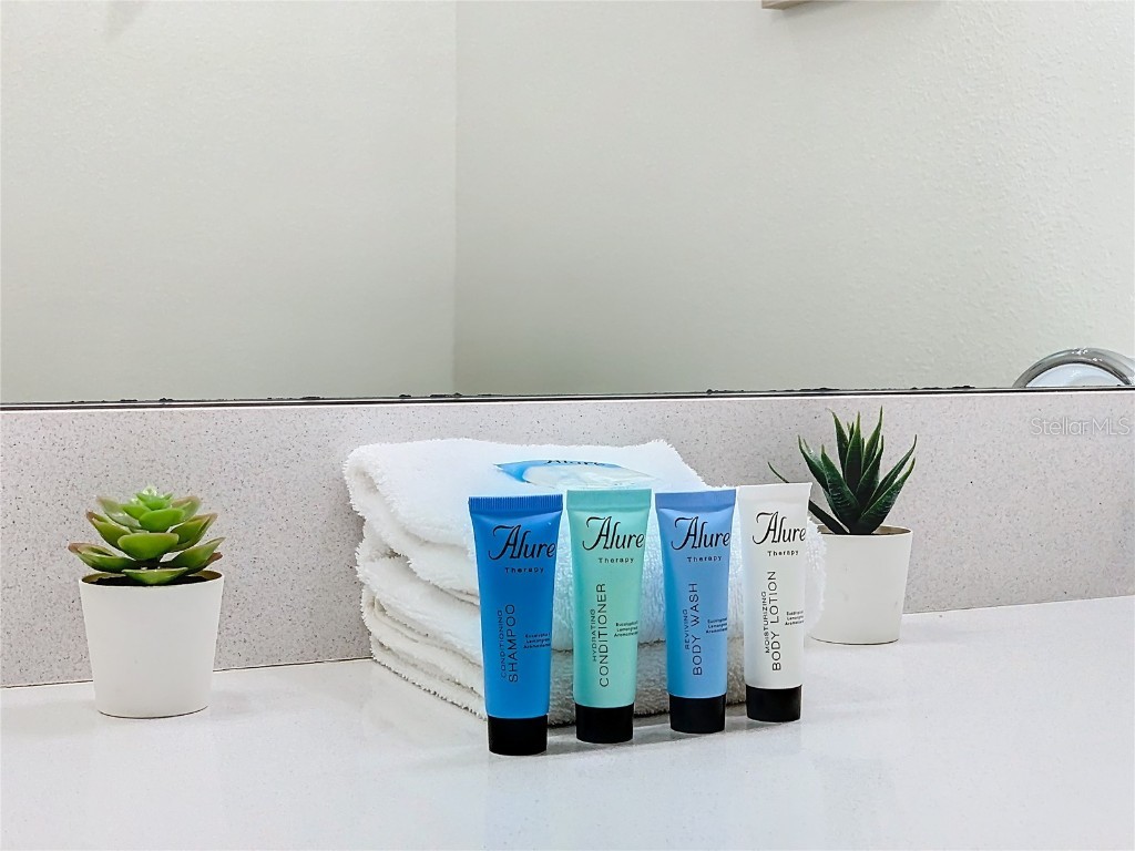 3150 Paradox Circle #405 Kissimmee FL 34746 O6354937 image27