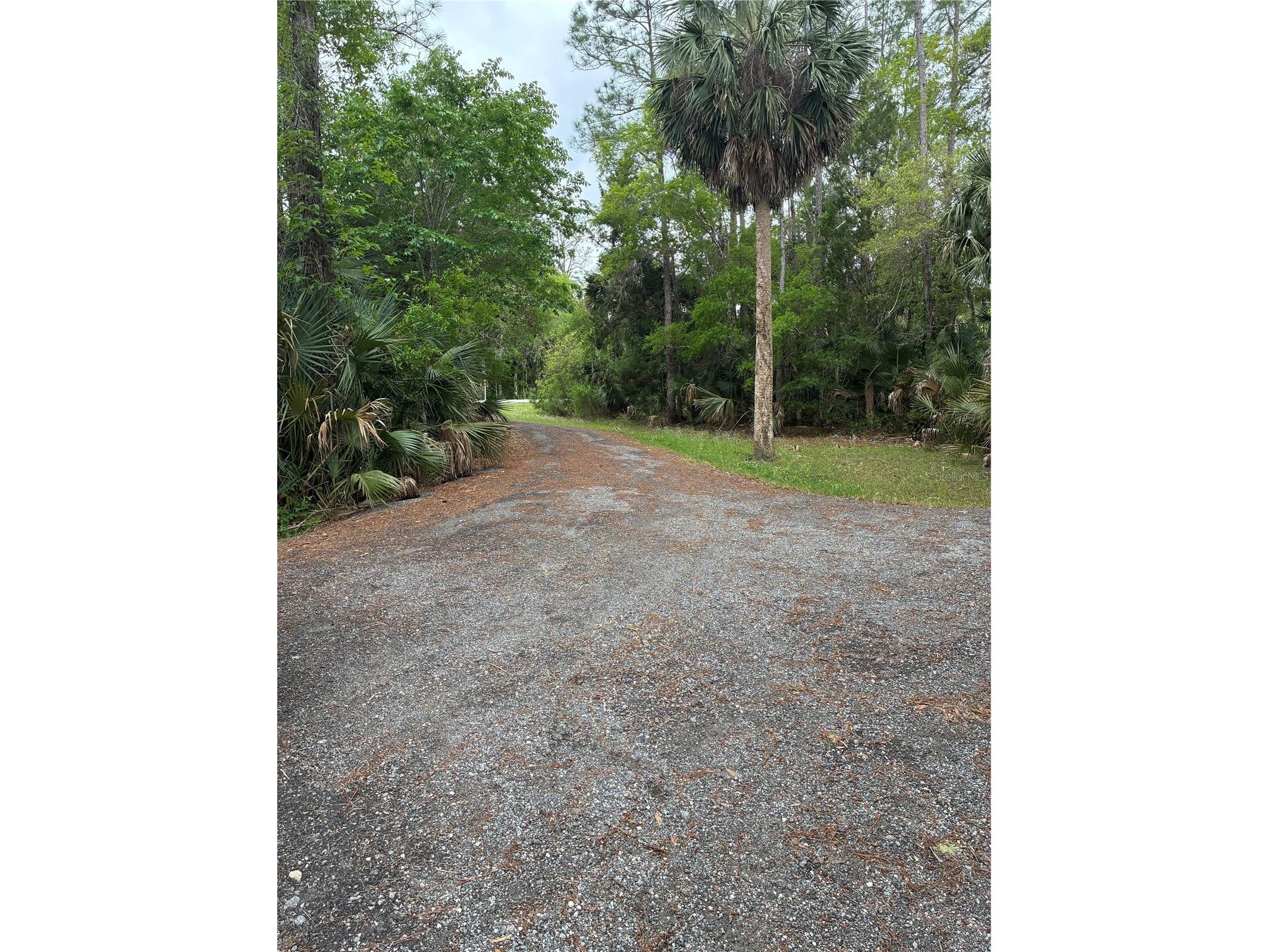 3150 W Cr 2006 Bunnell FL 32110 FC317403 image13