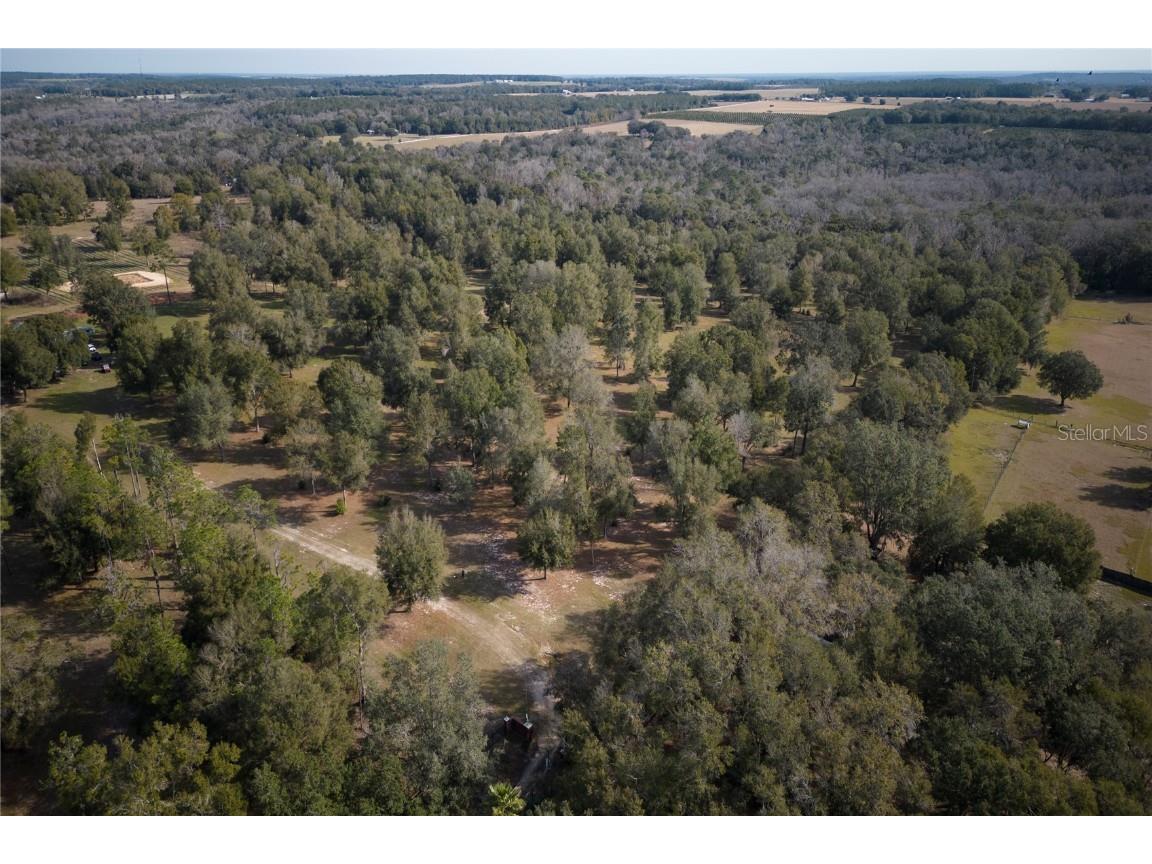 31501 Reed Road Dade City FL 33523 T3421896 image1