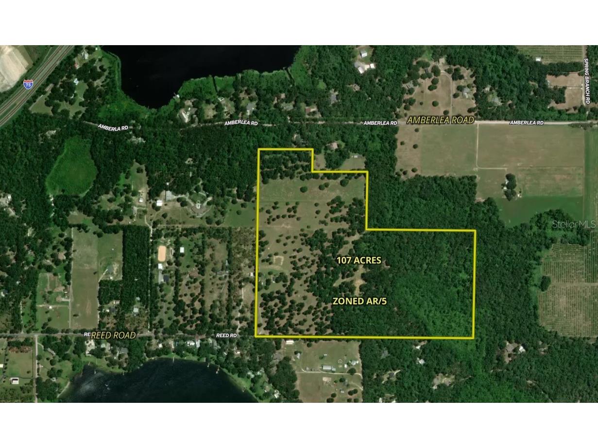 31501 Reed Road Dade City FL 33523 TB8506366 image1
