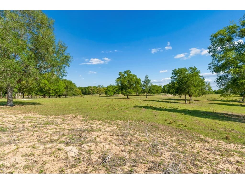 31501 Reed Road Dade City FL 33523 TB8506366 image10