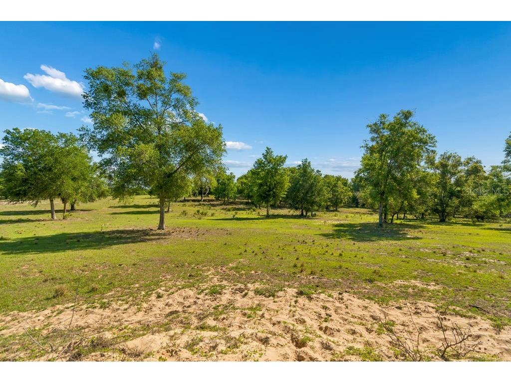 31501 Reed Road Dade City FL 33523 TB8506366 image11