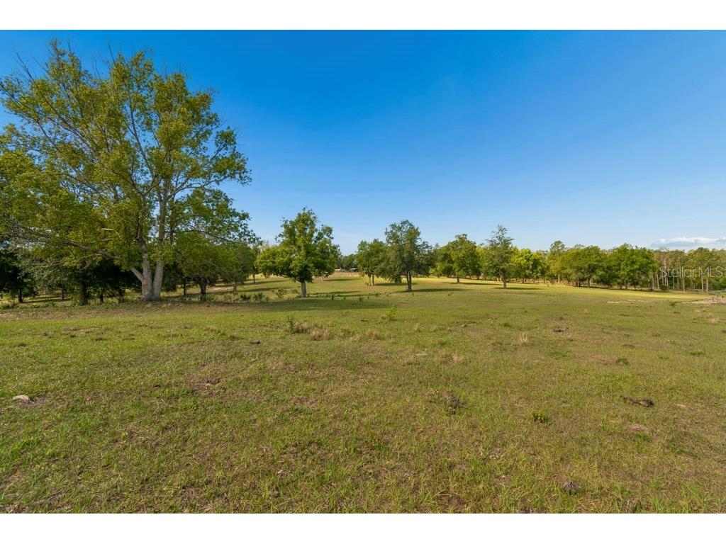 31501 Reed Road Dade City FL 33523 TB8506366 image12