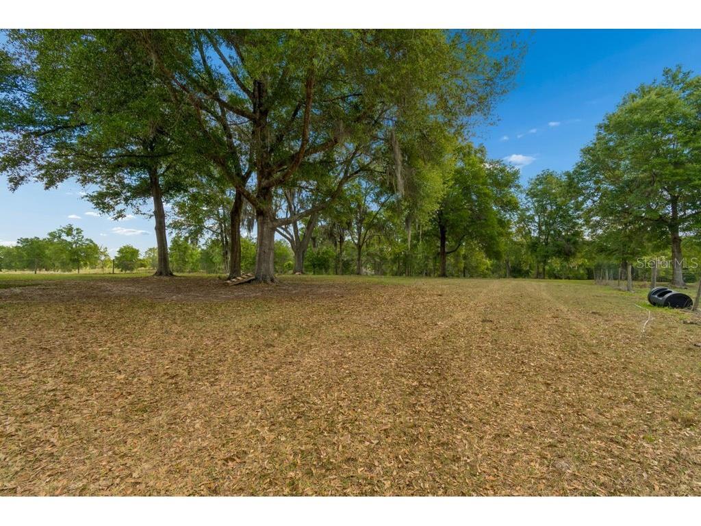 31501 Reed Road Dade City FL 33523 TB8506366 image13