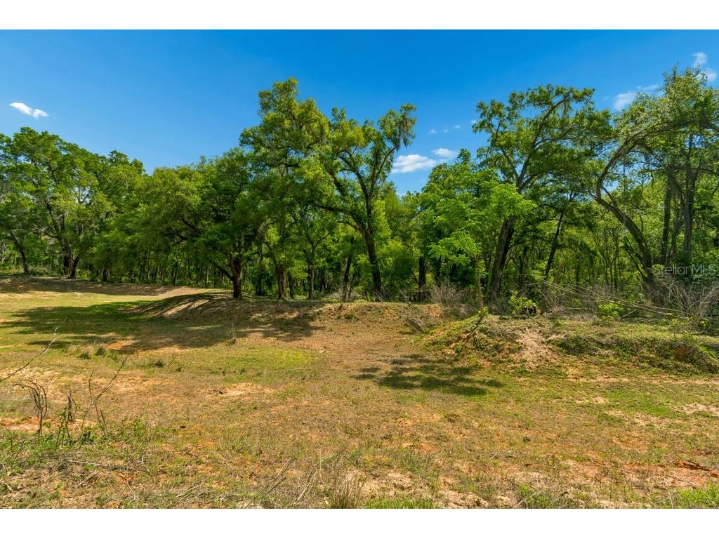 31501 Reed Road Dade City FL 33523 TB8506366 image16