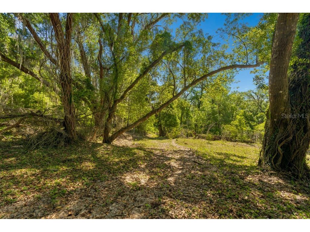 31501 Reed Road Dade City FL 33523 TB8506366 image17