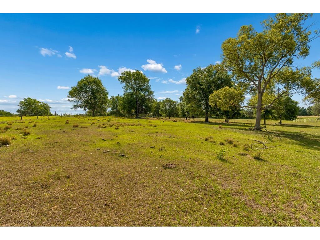 31501 Reed Road Dade City FL 33523 TB8506366 image19