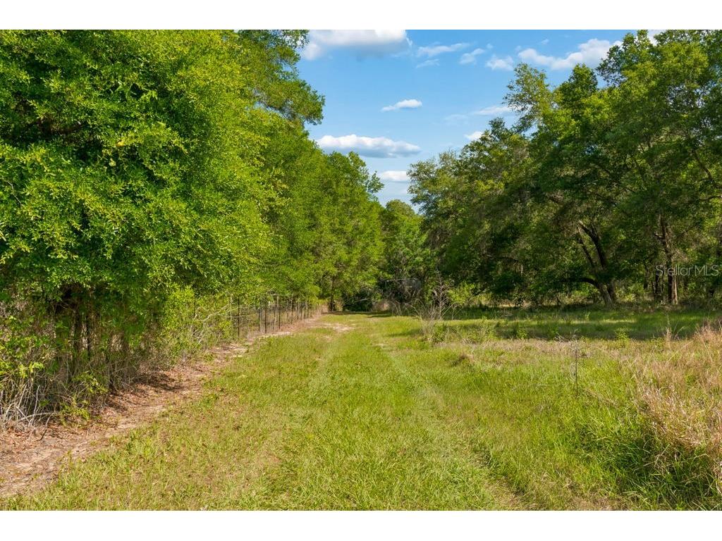 31501 Reed Road Dade City FL 33523 TB8506366 image20