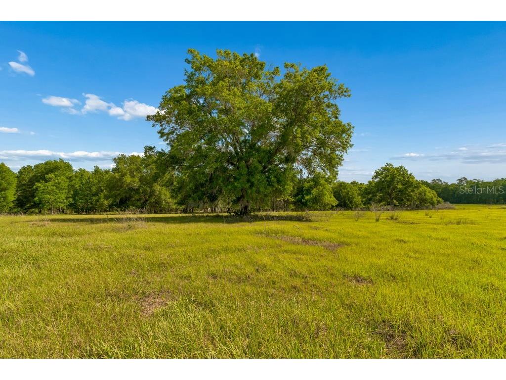31501 Reed Road Dade City FL 33523 TB8506366 image21