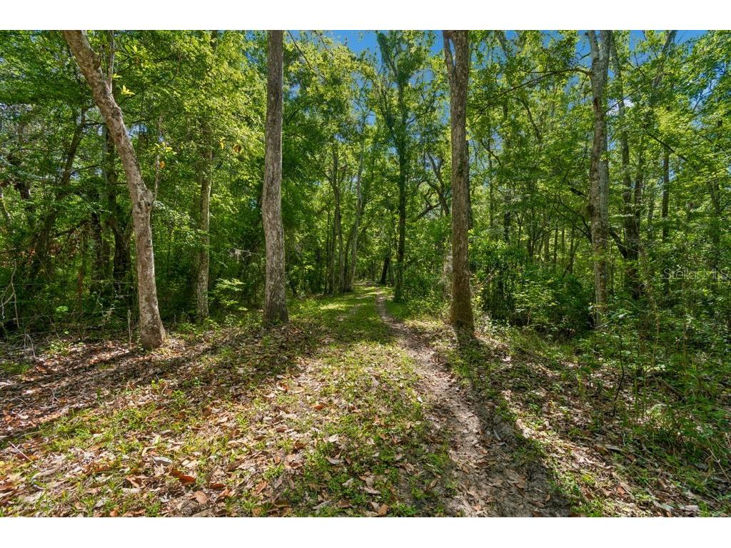 31501 Reed Road Dade City FL 33523 TB8506366 image23