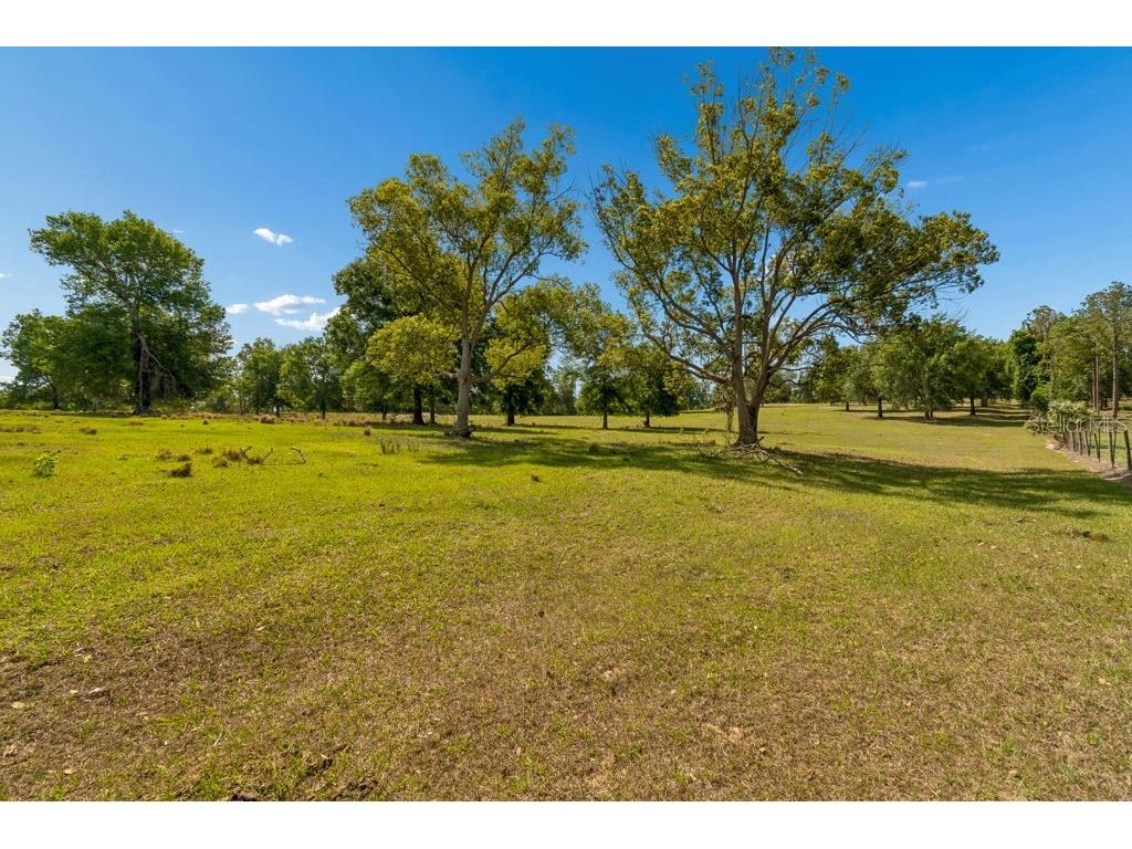 31501 Reed Road Dade City FL 33523 TB8506366 image24