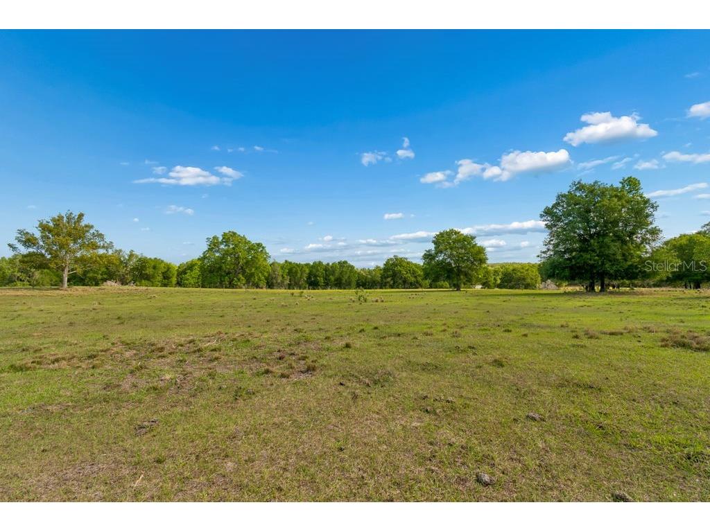 31501 Reed Road Dade City FL 33523 TB8506366 image26