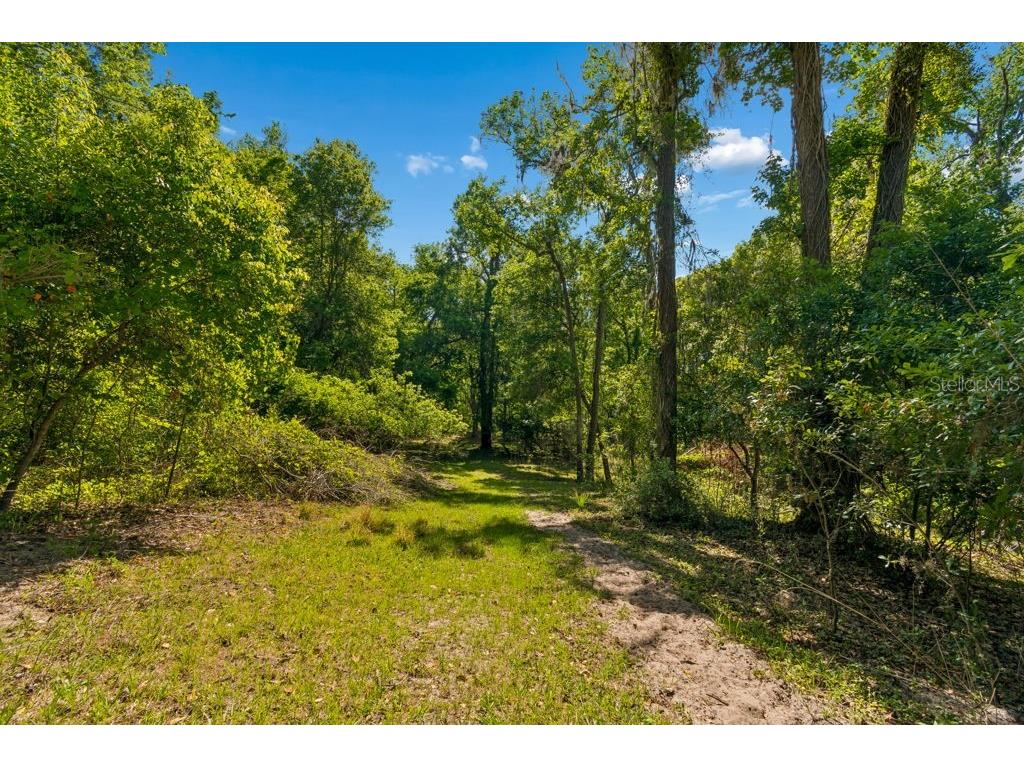 31501 Reed Road Dade City FL 33523 TB8506366 image28