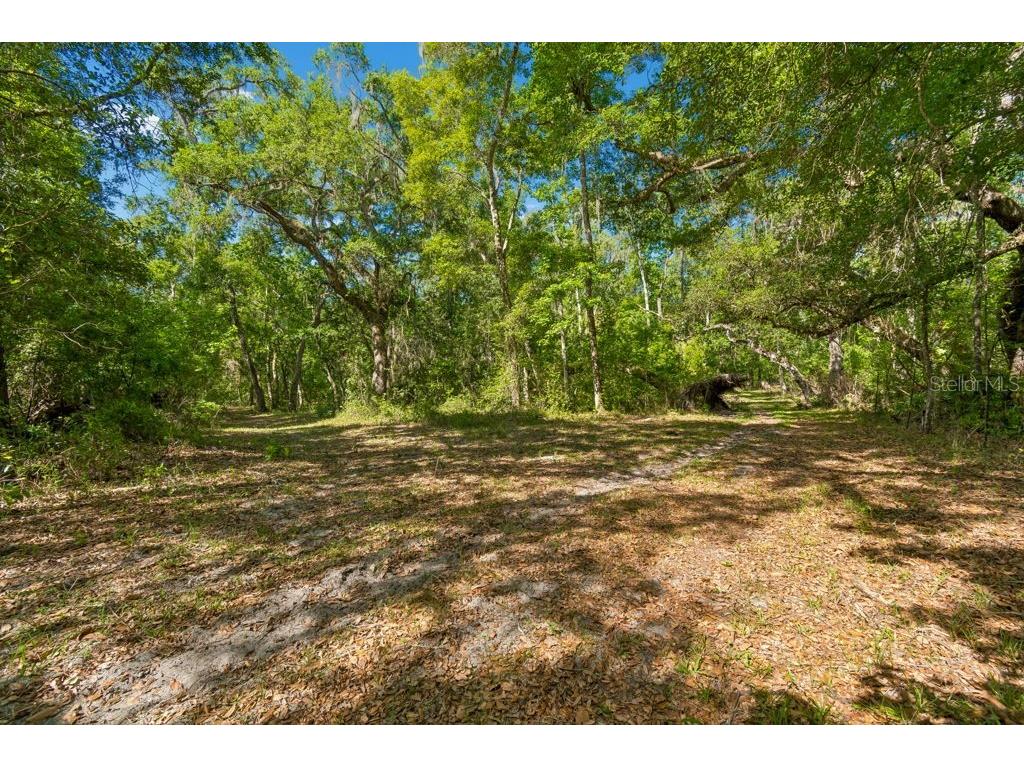 31501 Reed Road Dade City FL 33523 TB8506366 image30