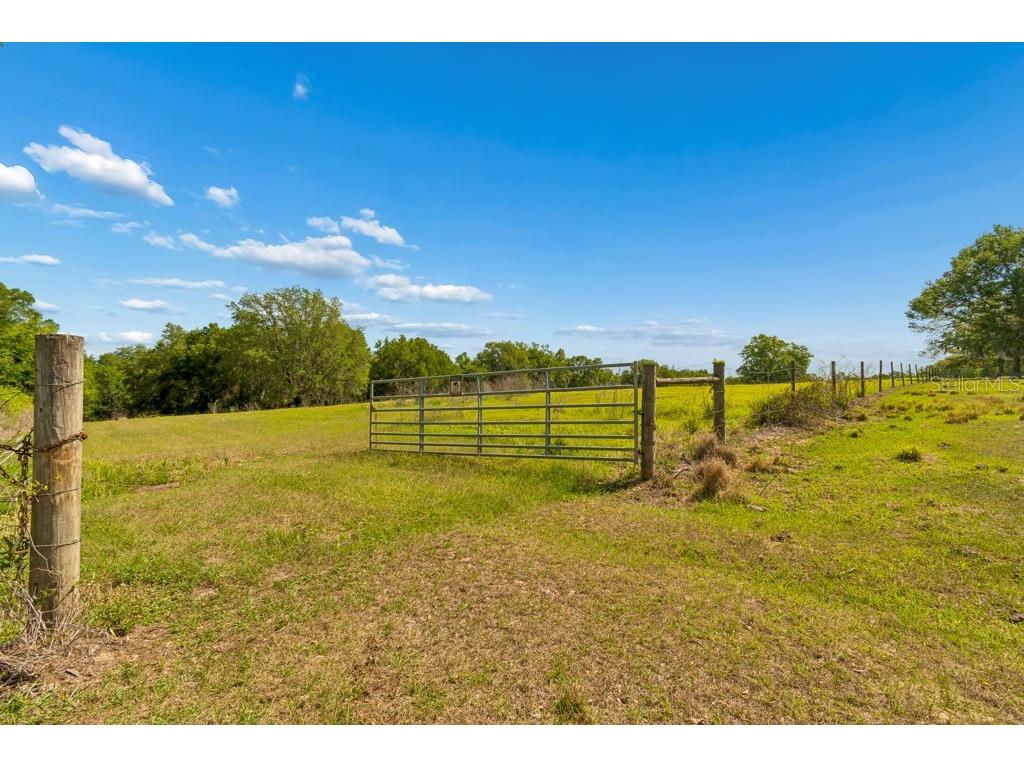 31501 Reed Road Dade City FL 33523 TB8506366 image31