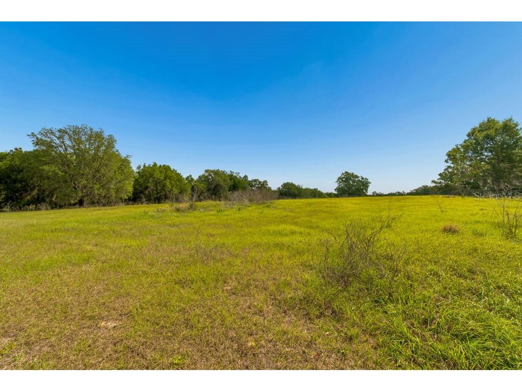 31501 Reed Road Dade City FL 33523 TB8506366 image32