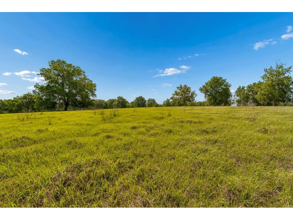 31501 Reed Road Dade City FL 33523 TB8506366 image33