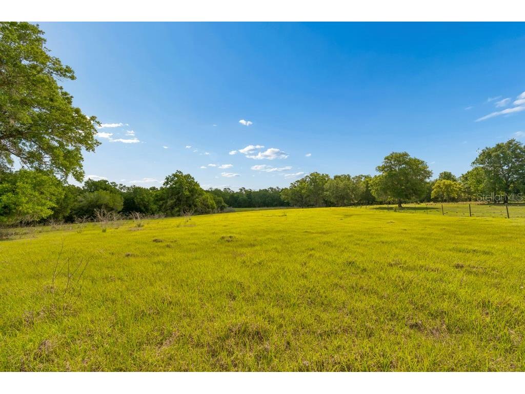 31501 Reed Road Dade City FL 33523 TB8506366 image34