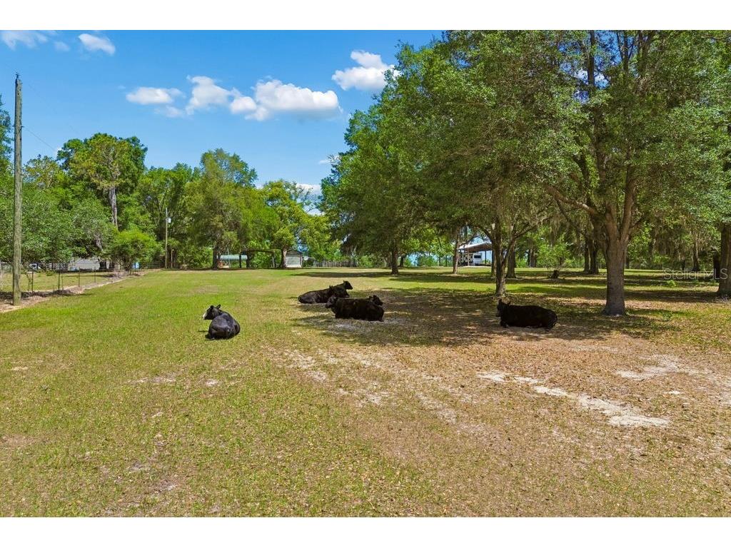 31501 Reed Road Dade City FL 33523 TB8506366 image35