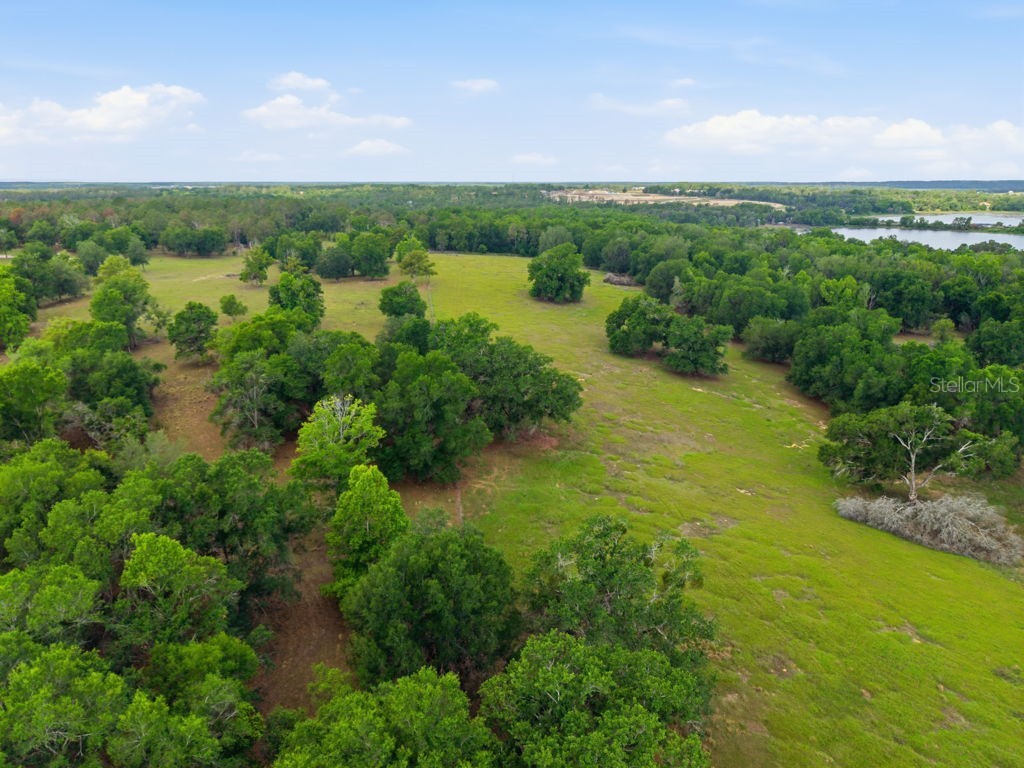 31501 Reed Road Dade City FL 33523 TB8506366 image42