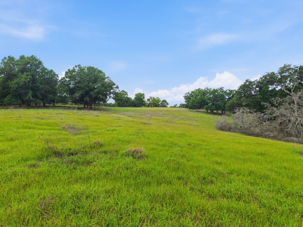 31501 Reed Road Dade City FL 33523 TB8506366 image44