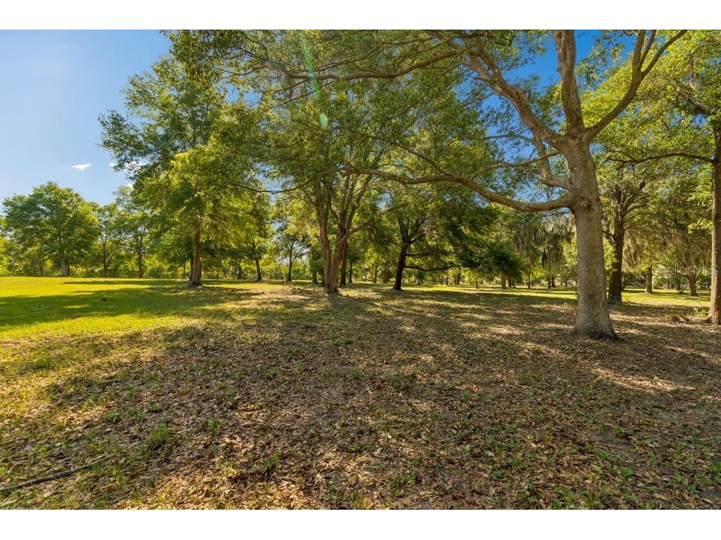 31501 Reed Road Dade City FL 33523 TB8506366 image5