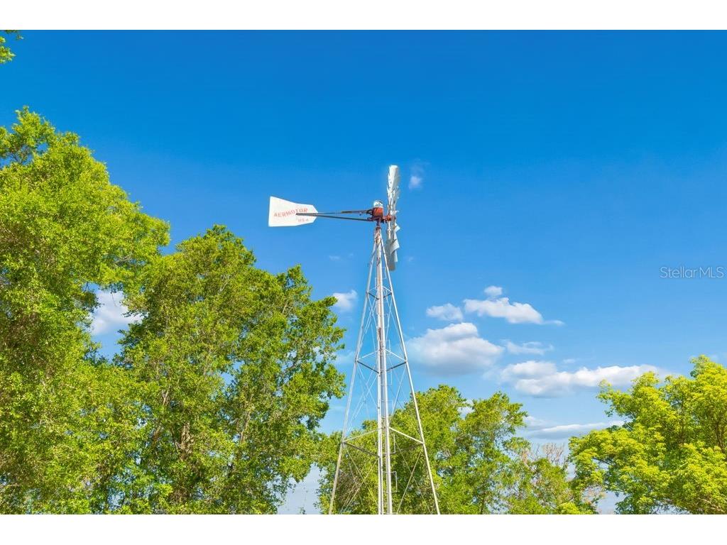 31501 Reed Road Dade City FL 33523 TB8506366 image7
