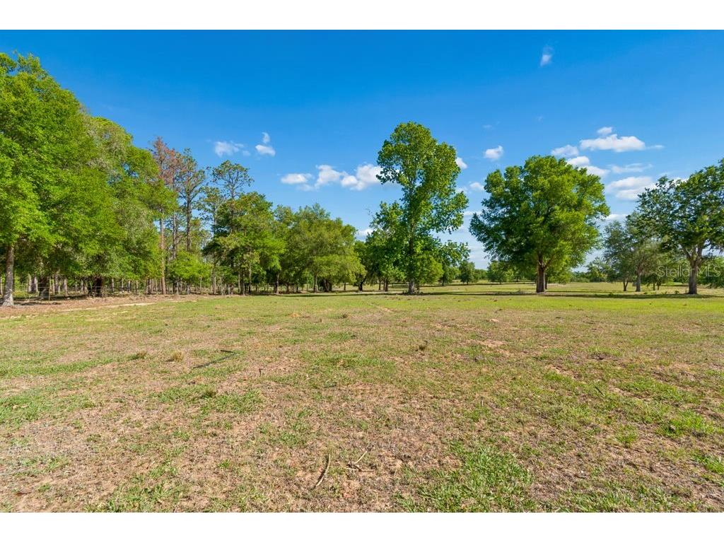 31501 Reed Road Dade City FL 33523 TB8506366 image8